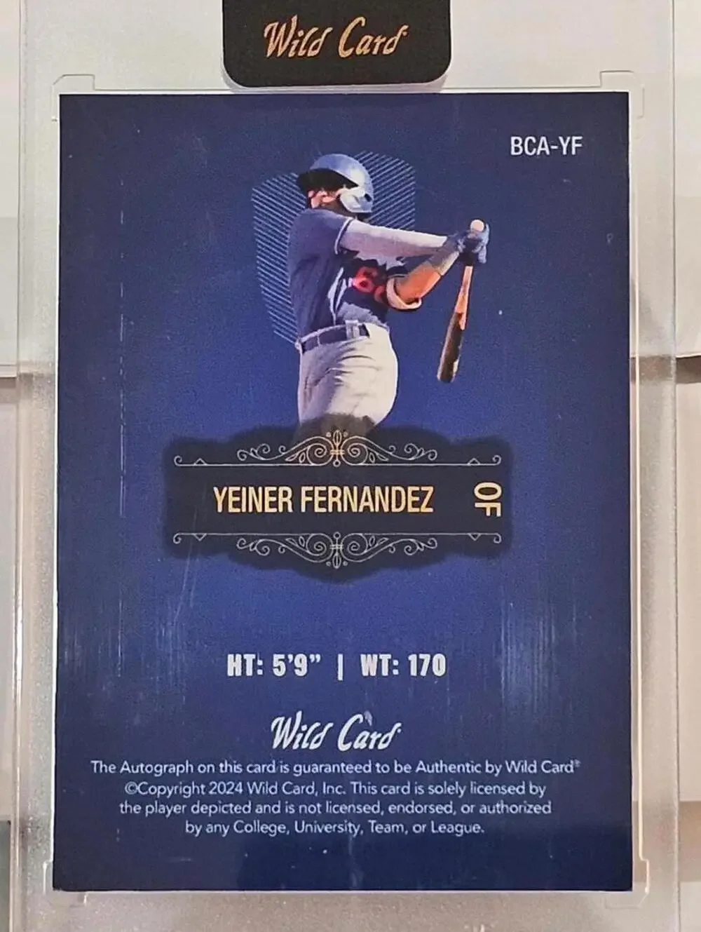 2024 Wild Card Yeiner Fernandez Autographed Baseball Card